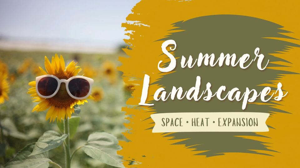 Summer Landscapes - Video 3